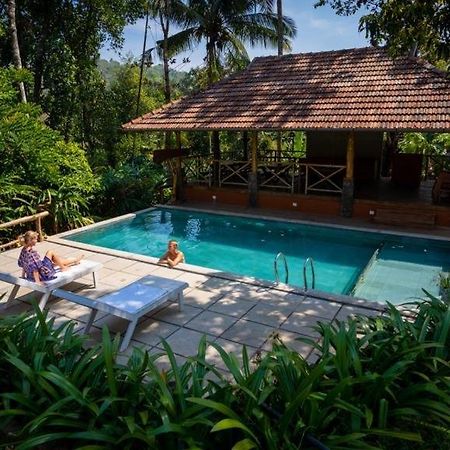 Beyond Eco Living Διαμέρισμα Munnar Εξωτερικό φωτογραφία