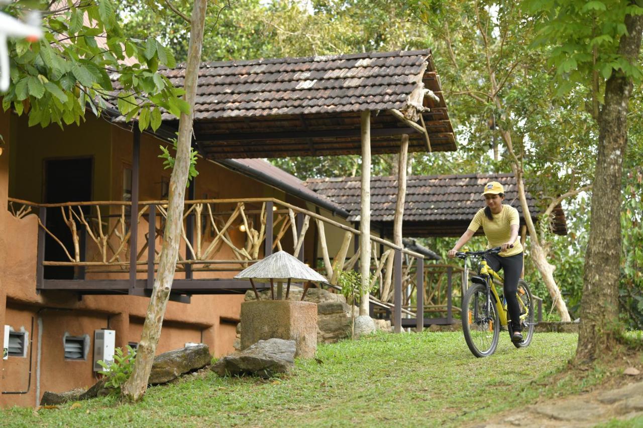 Beyond Eco Living Διαμέρισμα Munnar Εξωτερικό φωτογραφία
