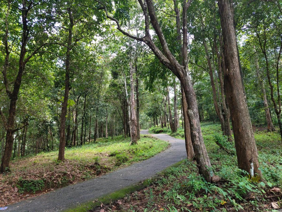 Beyond Eco Living Διαμέρισμα Munnar Εξωτερικό φωτογραφία