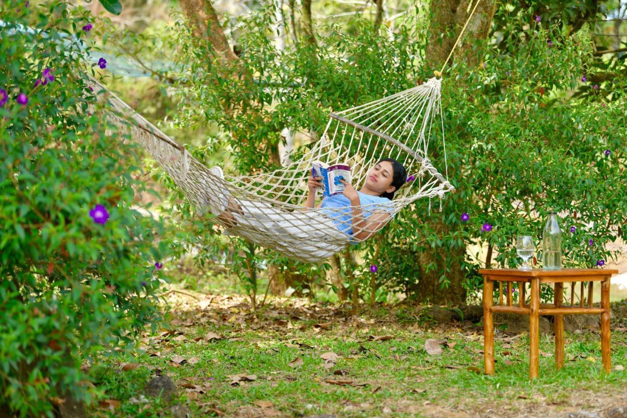 Beyond Eco Living Διαμέρισμα Munnar Εξωτερικό φωτογραφία