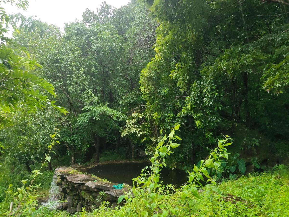 Beyond Eco Living Διαμέρισμα Munnar Εξωτερικό φωτογραφία