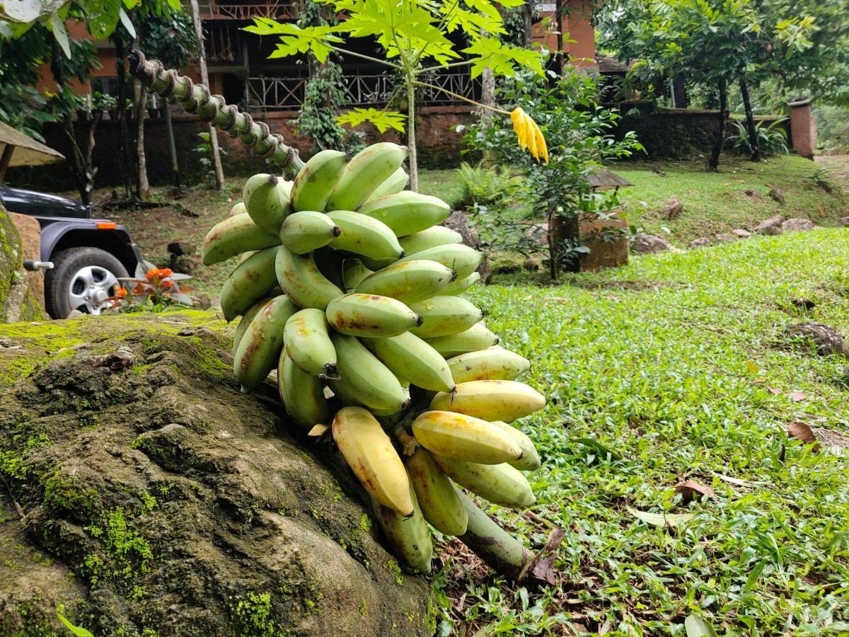 Beyond Eco Living Διαμέρισμα Munnar Εξωτερικό φωτογραφία