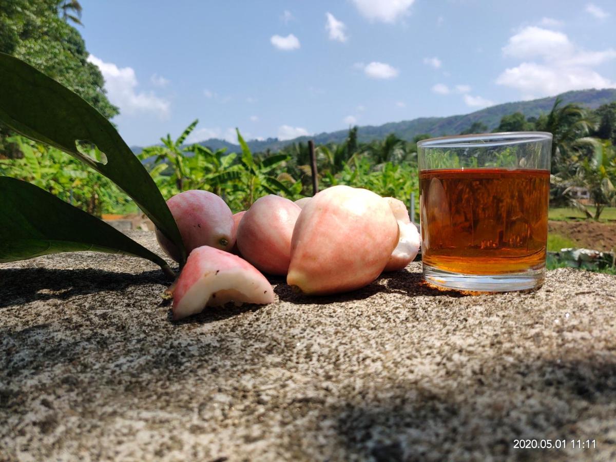 Beyond Eco Living Διαμέρισμα Munnar Εξωτερικό φωτογραφία