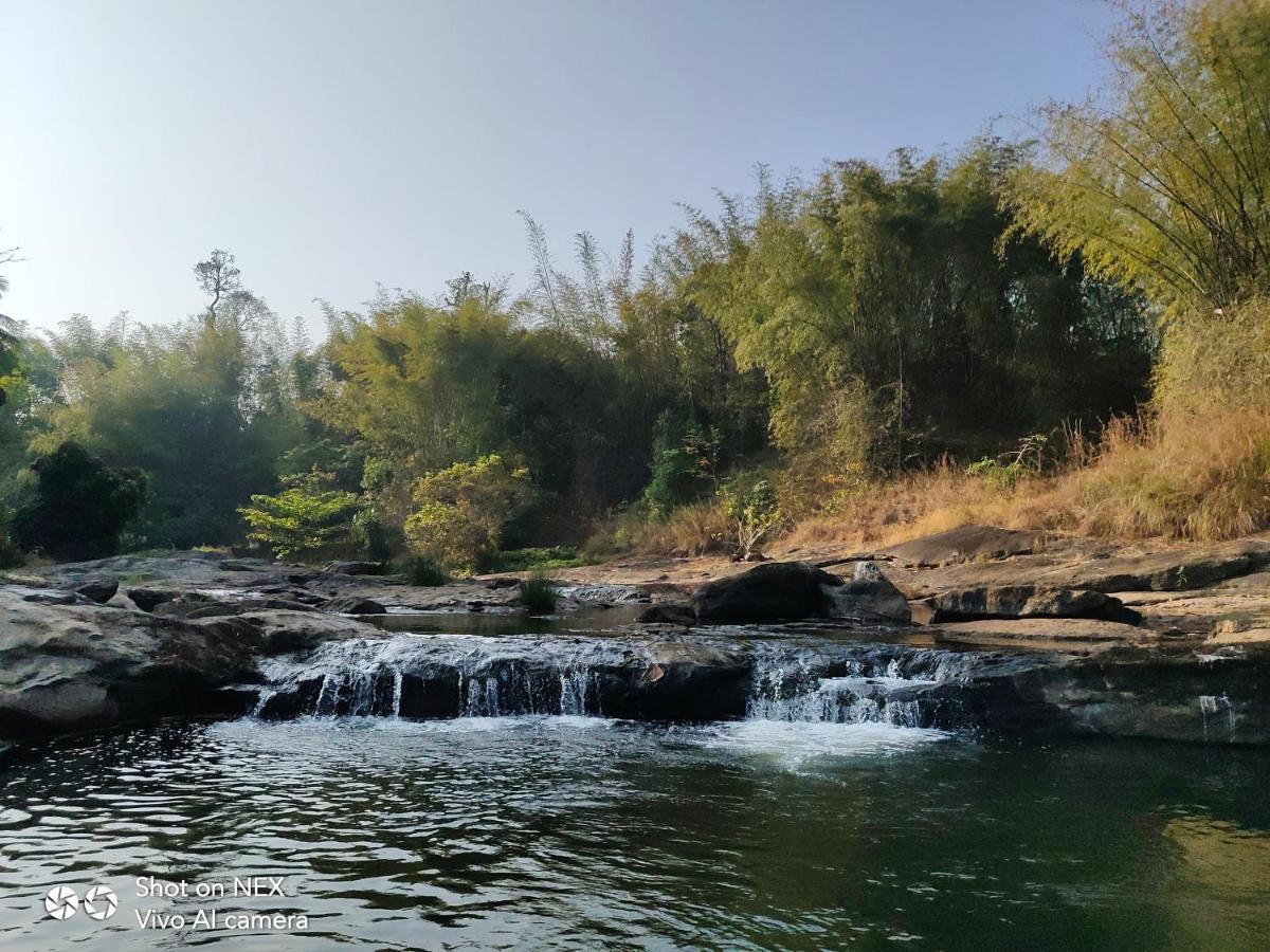 Beyond Eco Living Διαμέρισμα Munnar Εξωτερικό φωτογραφία