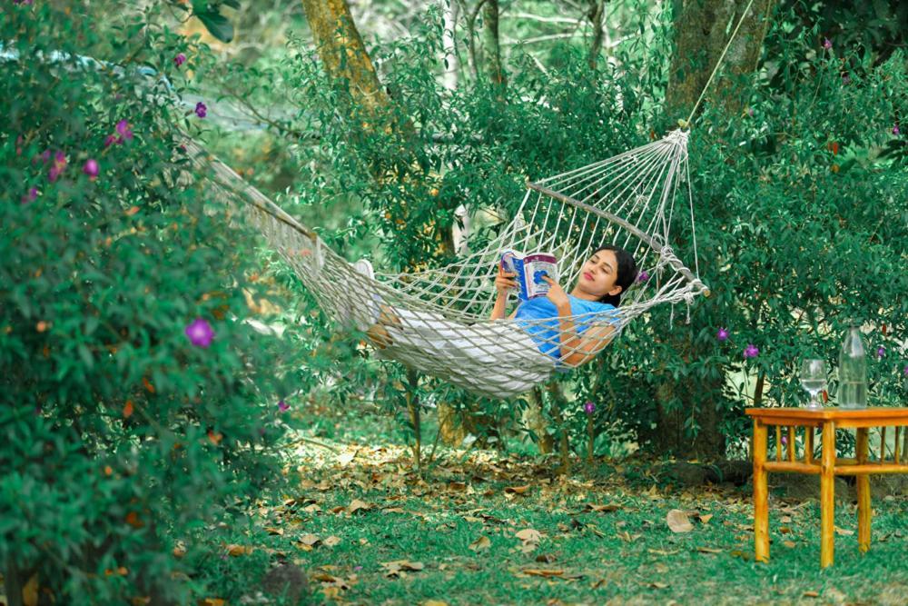 Beyond Eco Living Διαμέρισμα Munnar Εξωτερικό φωτογραφία