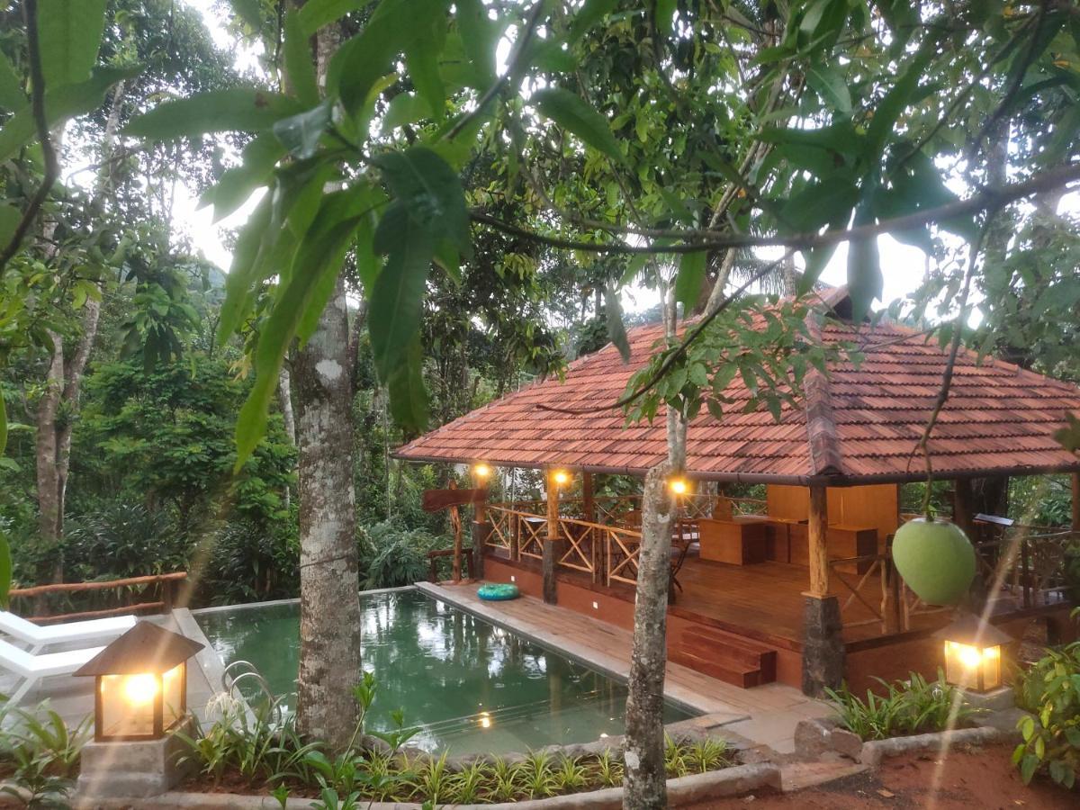 Beyond Eco Living Διαμέρισμα Munnar Εξωτερικό φωτογραφία