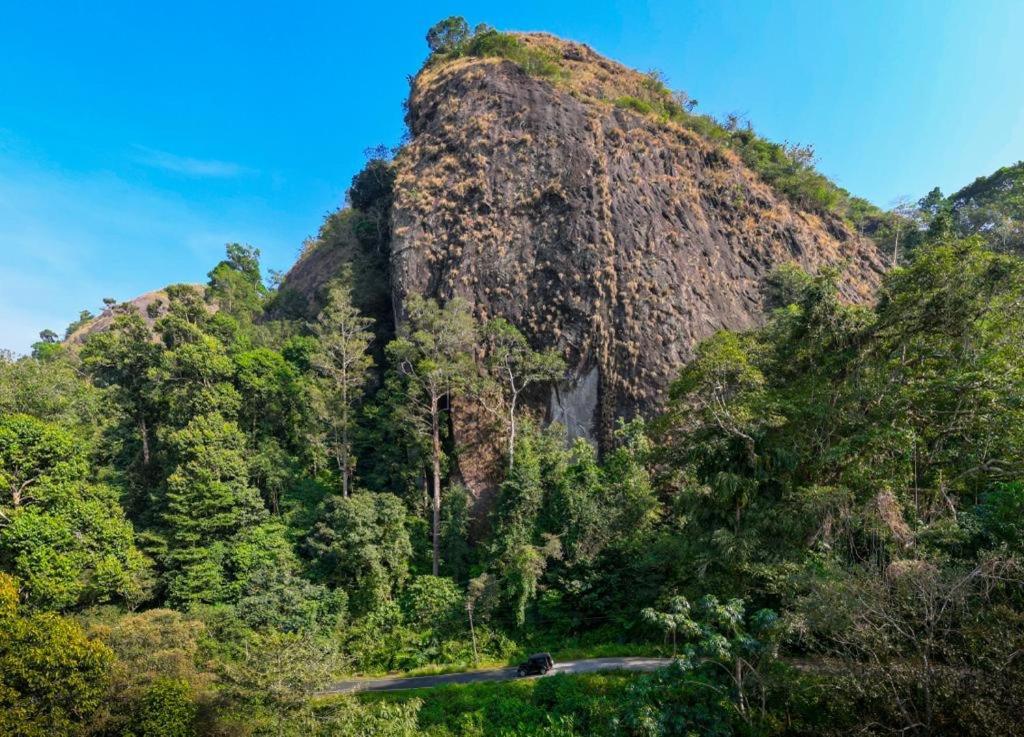 Beyond Eco Living Διαμέρισμα Munnar Εξωτερικό φωτογραφία