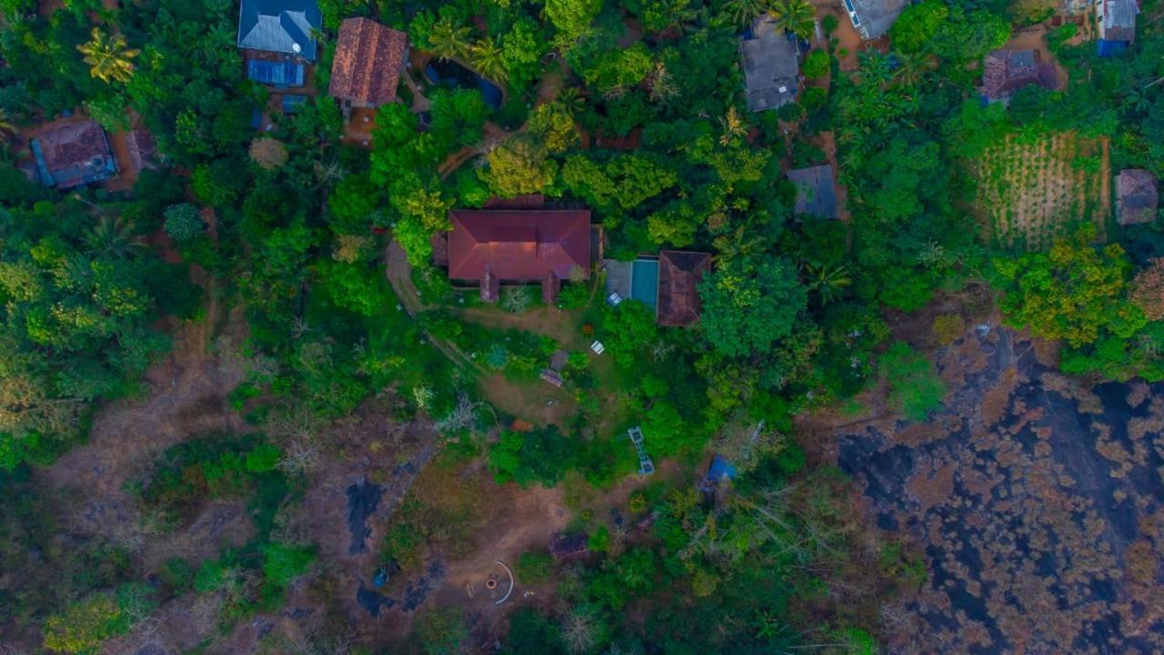 Beyond Eco Living Διαμέρισμα Munnar Εξωτερικό φωτογραφία